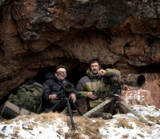 Critique Express : La panthère des neiges