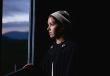 Les sorties du 19 janvier 2022