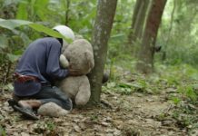 Test DVD : Vanishing point