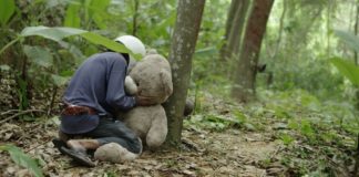 Test DVD : Vanishing point