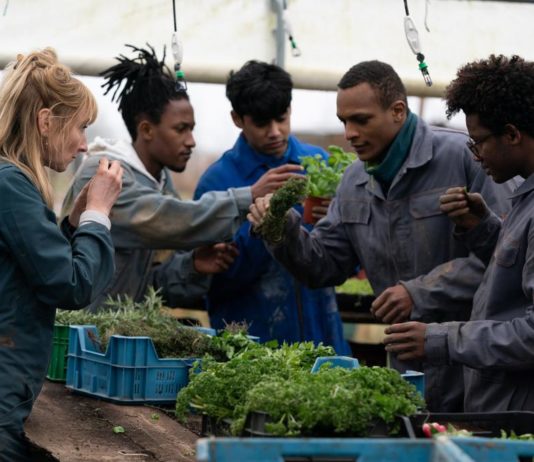 Critique Express : La brigade