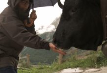 Critique Express : Vedette