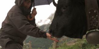 Critique Express : Vedette