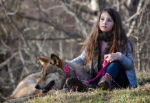 Test Blu-ray : Mystère