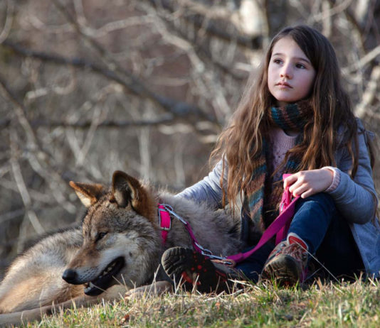 Test Blu-ray : Mystère