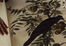 Les sorties du 25 mai 2022