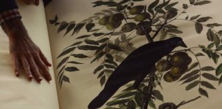 Les sorties du 25 mai 2022