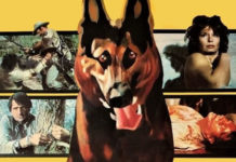 Test Blu-ray : Les Crocs du diable