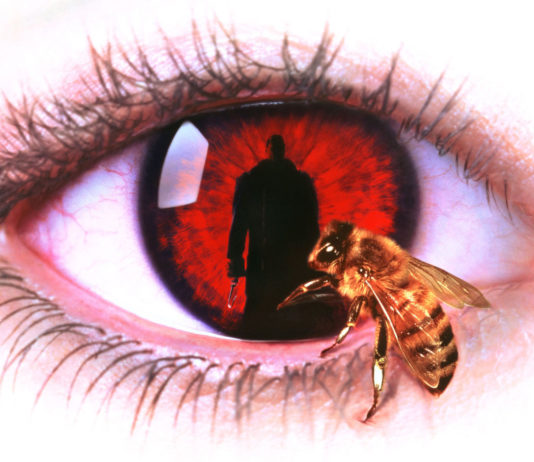 Test Blu-ray 4K Ultra HD : Candyman