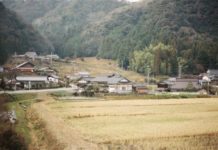 Les sorties du 22 juin 2022