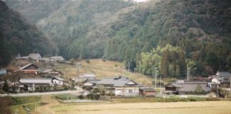 Les sorties du 22 juin 2022