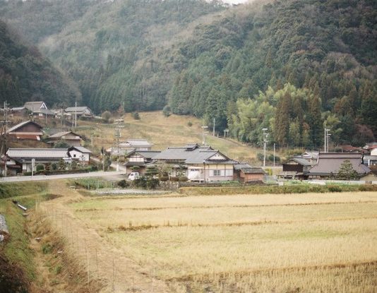 Les sorties du 22 juin 2022