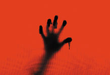 Test Blu-ray : Anatomie