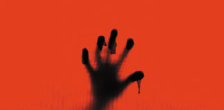 Test Blu-ray : Anatomie