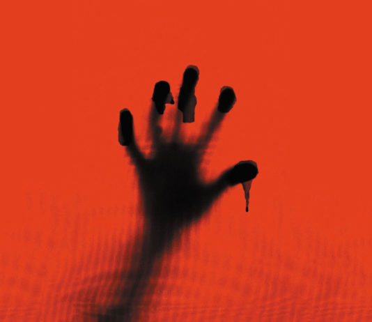 Test Blu-ray : Anatomie