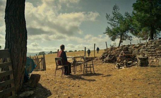 Les sorties du 3 août 2022