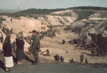 Les sorties du 14 septembre 2022