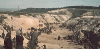 Les sorties du 14 septembre 2022