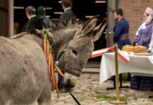 Les sorties du 19 octobre 2022