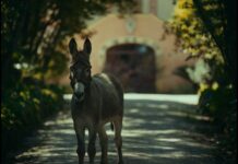 Critique Express : EO