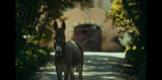 Critique Express : EO