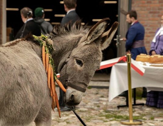 Les sorties du 19 octobre 2022