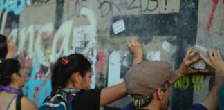 Les sorties du 26 octobre 2022