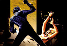 Test Blu-ray : Nue pour l’assassin