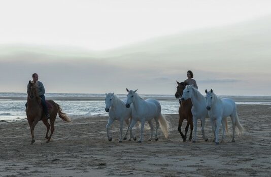 Albi 2022 : Tempête (Christian Duguay)