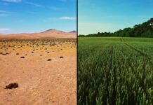 Critique Express : Mission régénération