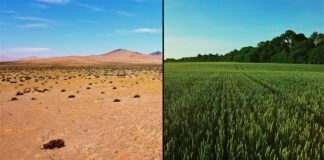 Critique Express : Mission régénération