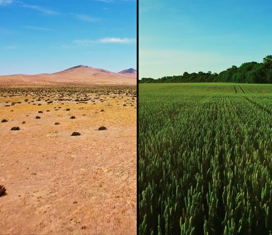 Critique Express : Mission régénération