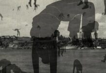 Les sorties du 7 décembre 2022