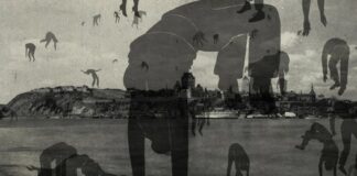 Les sorties du 7 décembre 2022