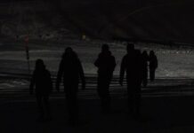 Les sorties du 11 janvier 2023