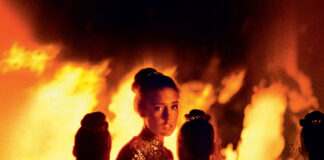 Test Blu-ray : Les Cinq diables