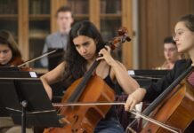 Critique : Divertimento