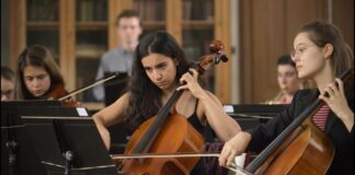 Critique : Divertimento