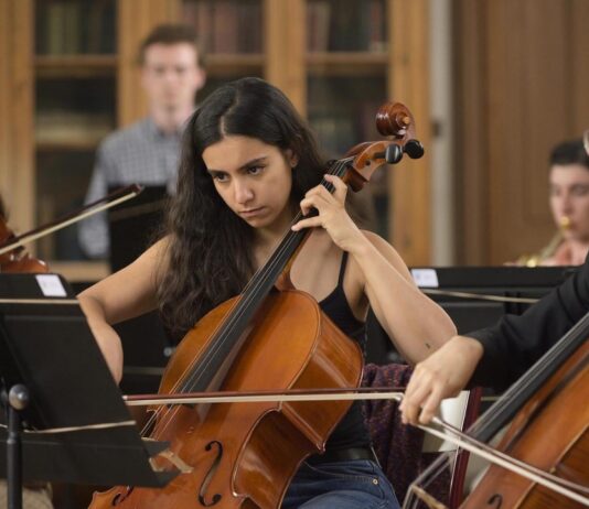 Critique : Divertimento