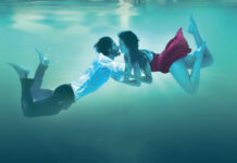 Test Blu-ray : Mascarade