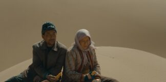 Les sorties du 8 février 2023