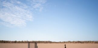 Berlinale 2023 : The Survival of Kindness