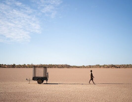 Berlinale 2023 : The Survival of Kindness