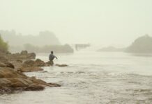 Les sorties du 1er mars 2023