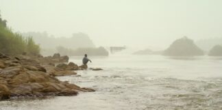 Les sorties du 1er mars 2023