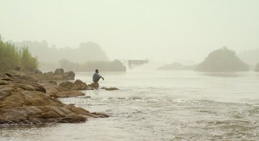 Les sorties du 1er mars 2023