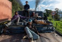 Les sorties du 29 mars 2023