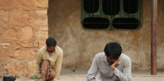 Les sorties du 24 mai 2023