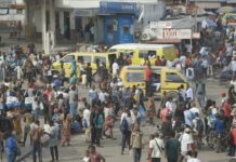 Critique : Le vrai du faux