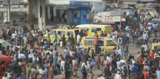 Critique : Le vrai du faux